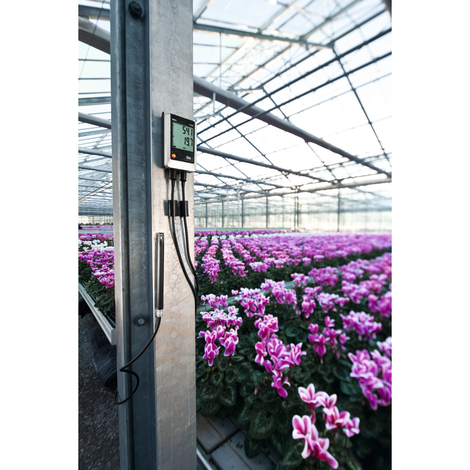 Datenlogger für Temperatur und Feuchte testo 176 H1