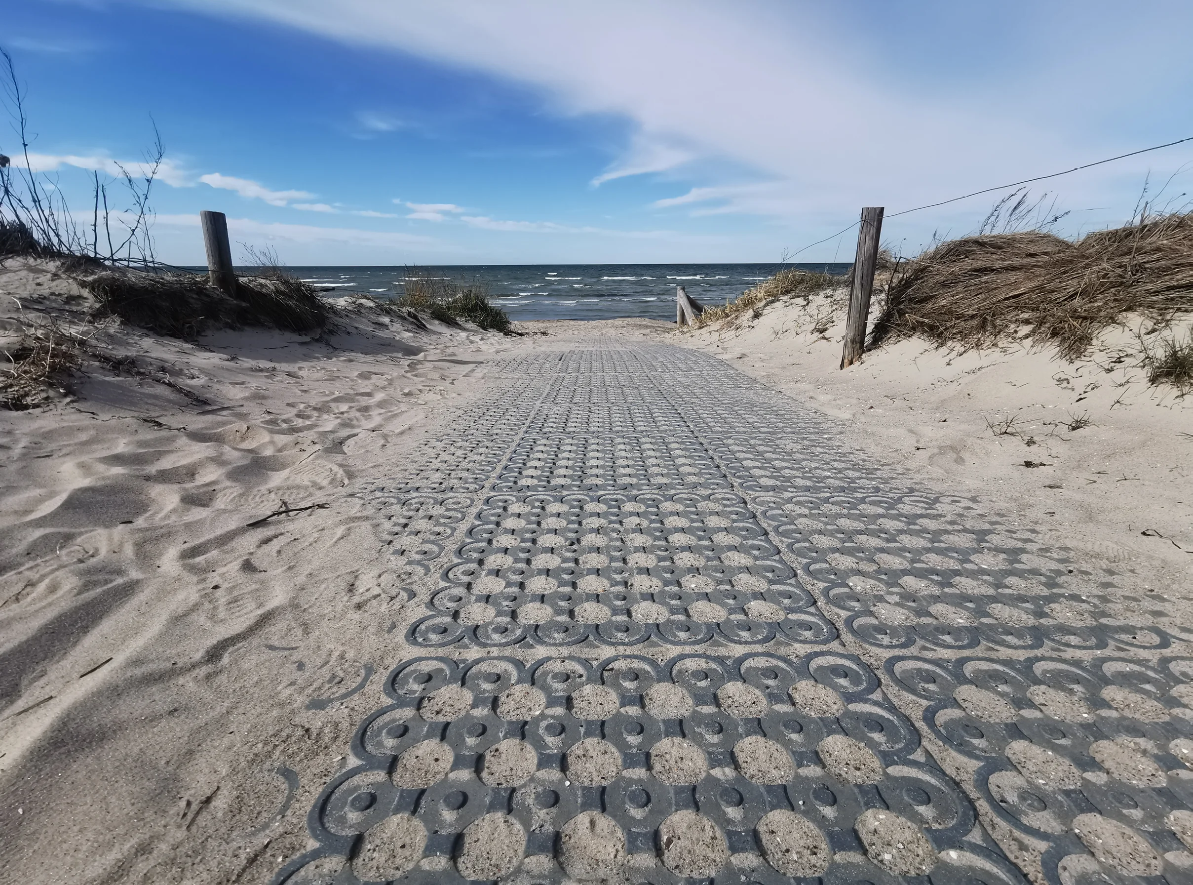 Paddockplatte mit Hohlkammersystem 50 × 50 cm