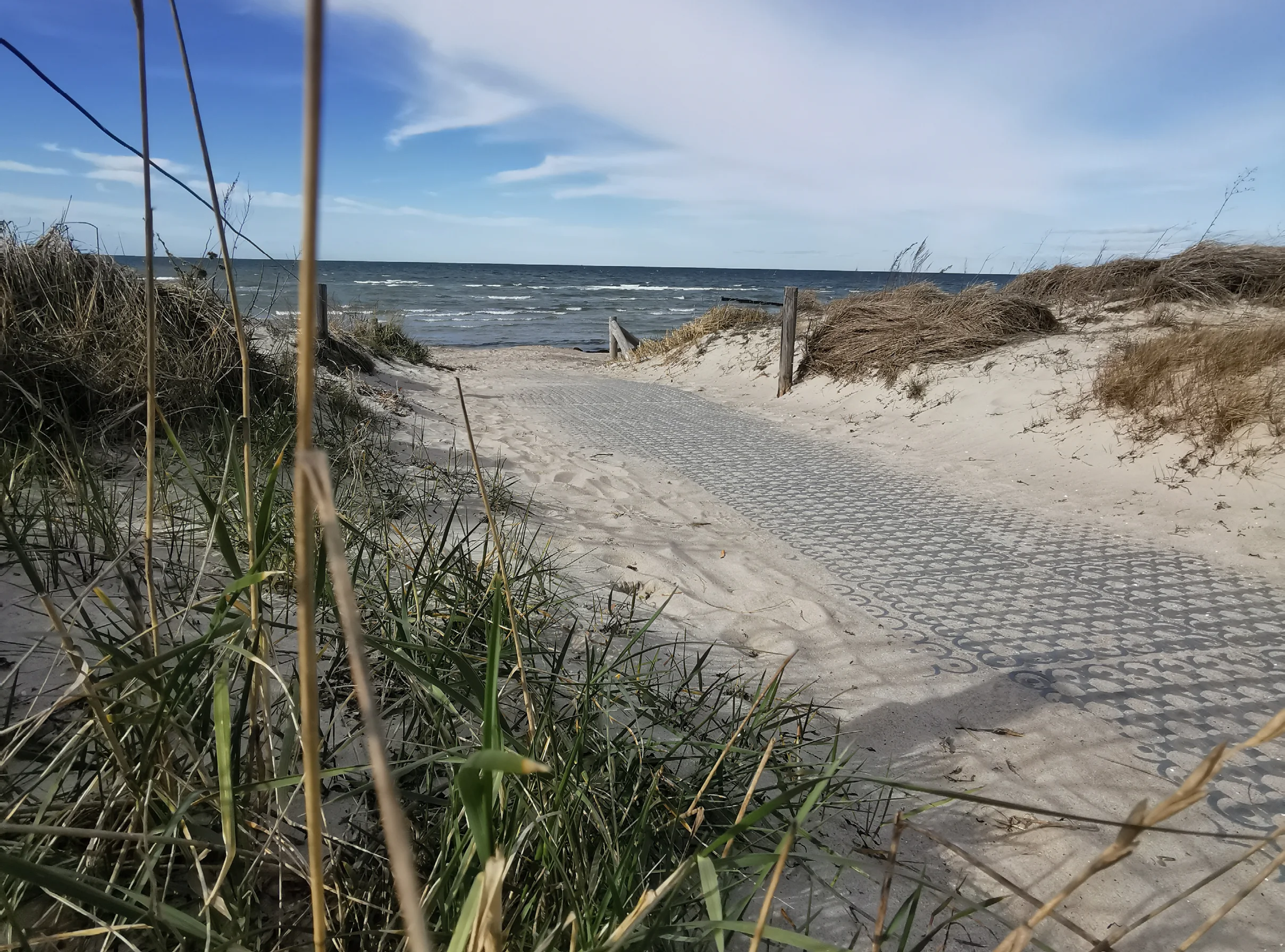 Paddockplatte mit Hohlkammersystem 50 × 50 cm