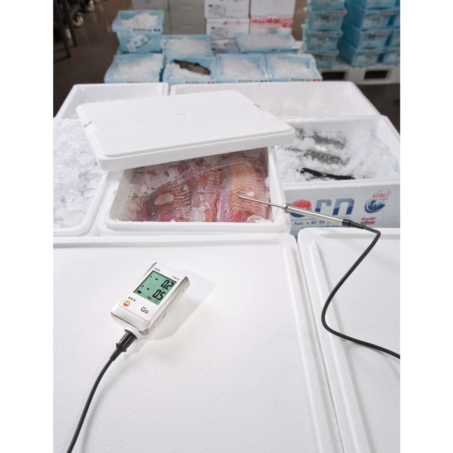 Temperaturdatenlogger testo 175 T2