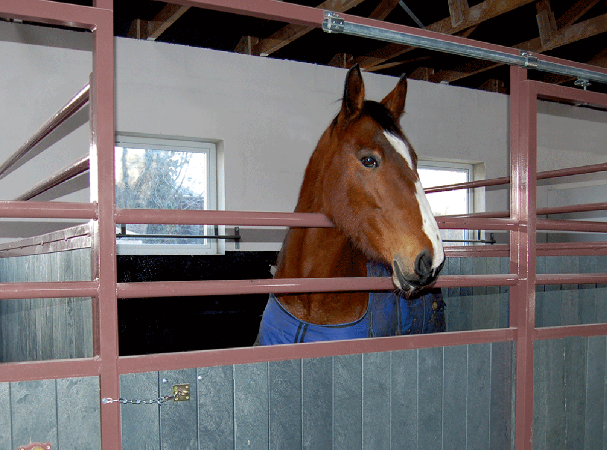 Stallbrett mit Nut und Feder aus Recycling-Kunststoff