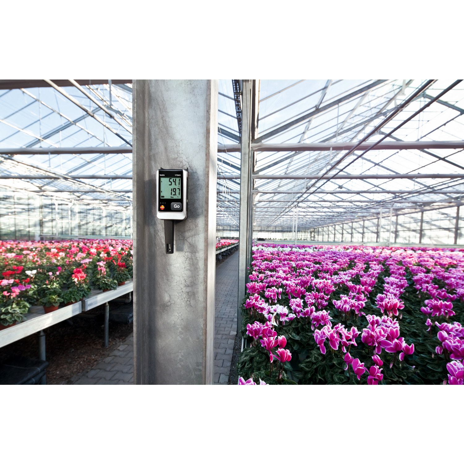 Datenlogger Temperatur und Feuchte testo 175 H1