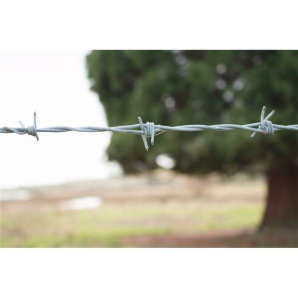 Barbed Wire Fence